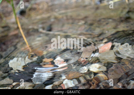 rain drop creates small ripple on clear puddle Stock Photo - Alamy