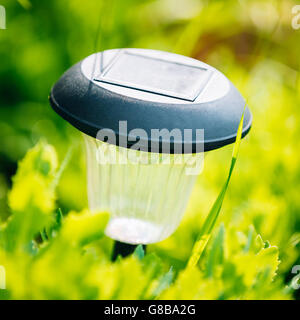 Small Solar Garden Light, Lanterns In Flower Bed. Garden Design. Solar Powered Lamp. Close Up Stock Photo