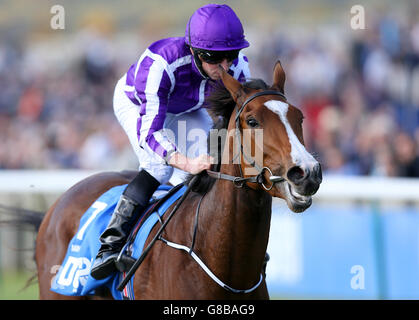 Horse Racing - Dubai Future Champions Festival - Day One - Newmarket Racecourse. Minding ridden by Ryan Moore wins The Dubai Filles Mile during day one of the Dubai Future Champions Festival at Newmarket Racecourse. Stock Photo