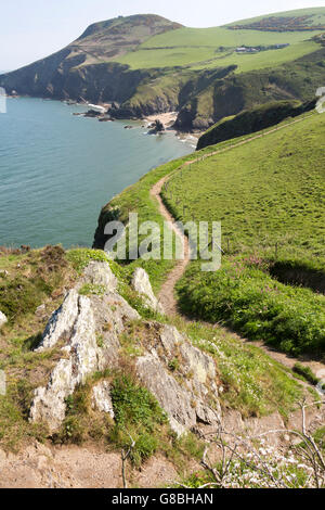 UK, Wales, Ceredigion, Llangrannog, clifftop coast path at Carreg Dol y Fran Stock Photo