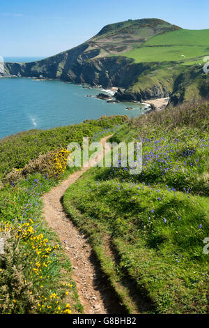 UK, Wales, Ceredigion, Llangrannog, clifftop coast path at Carreg Dol y Fran Stock Photo