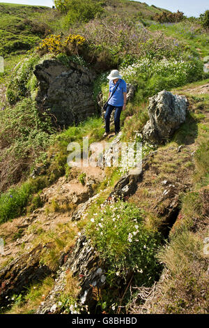 UK, Wales, Ceredigion, Llangrannog, woman walker on clifftop coast path at Carreg Dol y Fran Stock Photo