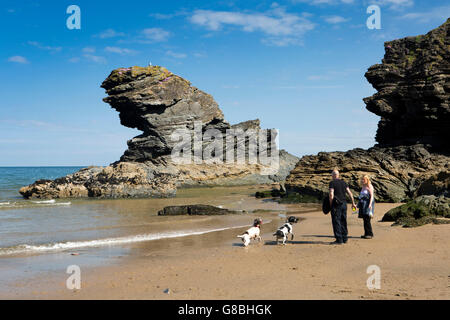 UK, Wales, Ceredigion, Llangrannog, couple with dogs at Carreg Bica rock, low tide Stock Photo