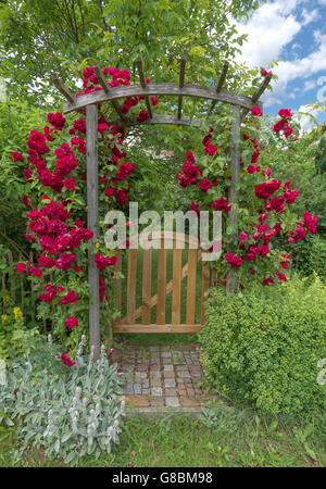 Garden door with rose arch Stock Photo