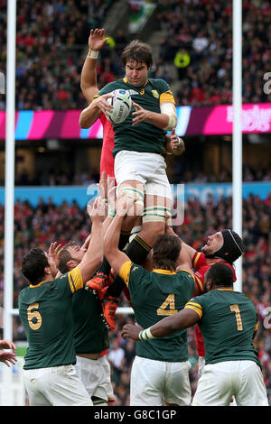 South Africa's Lodewyk De Jager (centre) wins lineout ball during the Rugby World Cup game at Twickenham Stadium, London. Stock Photo