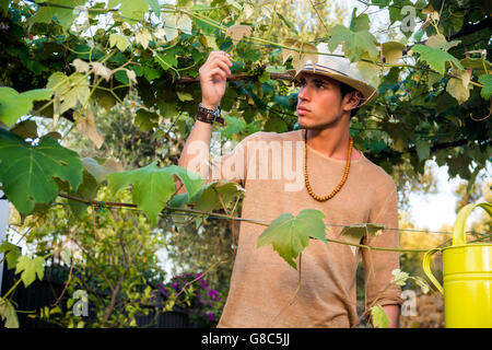 Side view of handsome young man in hat toching vine leaves in garden in sunlight Stock Photo