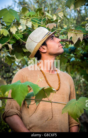 Side view of handsome young man in hat toching vine leaves in garden in sunlight Stock Photo