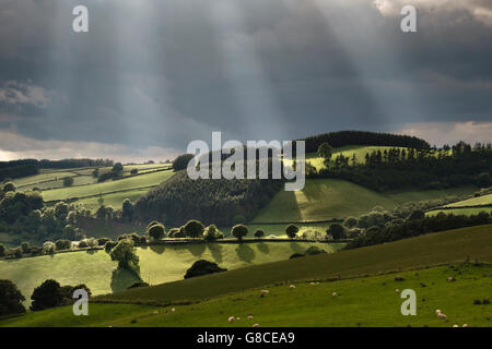 Near Knighton, Powys, UK, on the border between England and Wales. Beams of sunlight breaking through dark stormclouds Stock Photo