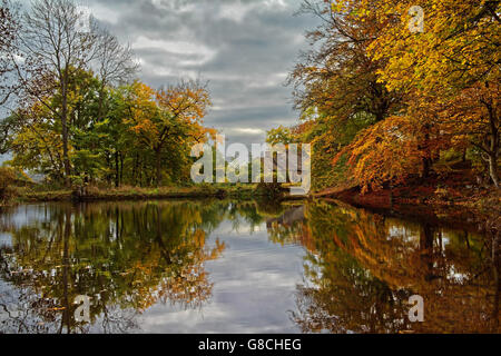 UK, Derbyshire, Peak District, Lumsdale, Bentley Brook Pond & Cottage Stock Photo