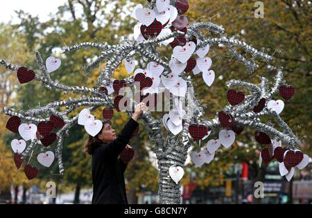 Poppy Appeal 2015 Stock Photo