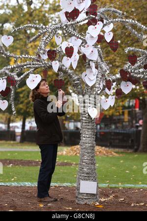 Sally McNaught from Poppy Scotland attaches messages of support to tree sculpture which has been planted next to the Field of Remembrance in Edinburgh, to which more than a thousand messages of support written on heart-shaped cards will be attached, ahead of the opening on Monday. Poppyscotland is inviting the public to plant crosses at the Field during Poppy Week (from Monday), in exchange for a donation, with the ambition of filling the Field by Armistice Day. Stock Photo