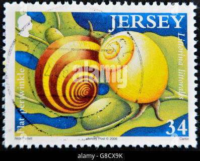 JERSEY - CIRCA 2006: A stamp printed in Jersey shows flat periwinkle and littorina littoralis, circa 2006 Stock Photo