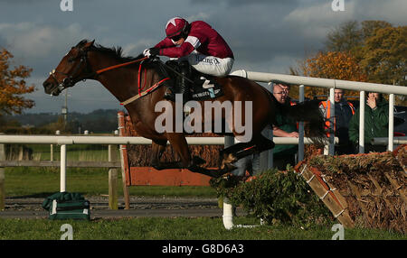 Identity Thief ridden by Bryan Cooper wins the WKD Hurdle during day one of the 2015 Northern Ireland Festival of Racing at Down Royal Racecourse, Lisburn, County Down. Stock Photo