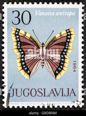 GROOTEBROEK ,THE NETHERLANDS - MARCH 8,2016 : A stamp printed in Yugoslavia shows butterfly with the inscription 'Vanessa antiop Stock Photo