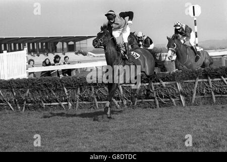 Attivo (Roger Hughes) (hidden centre) comes up to the last to win from No12 Space Project (M. Sadler). Also in the picture is R. Barmitzvah Boy (R. Forsyth). Stock Photo