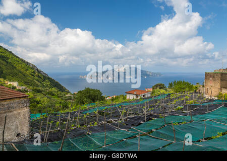 The island of Capri seen from the Amalfi Coast Stock Photo