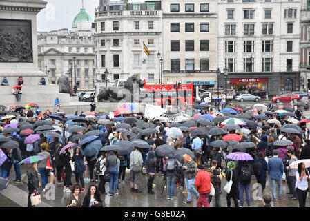 Trafalgar Square, London, UK. 28th June 2016. Pro EU, anti Brexit protesters assemble in the rain in Trafalgar Square. Stock Photo