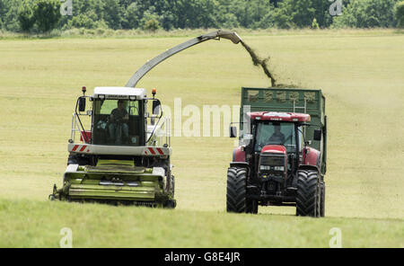 Bisingen, Germany. 28th June, 2016. A so-called grass harvester and a tractor harvest grass for livestock feeding near Bisingen, Germany, 28 June 2016. Photo: PATRICK SEEGER/dpa/Alamy Live News Stock Photo