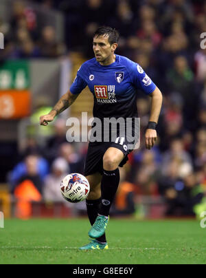 Soccer - Capital One Cup - Fourth Round - Liverpool v AFC Bournemouth - Anfield. AFC Bournemouth's Charlie Daniels Stock Photo