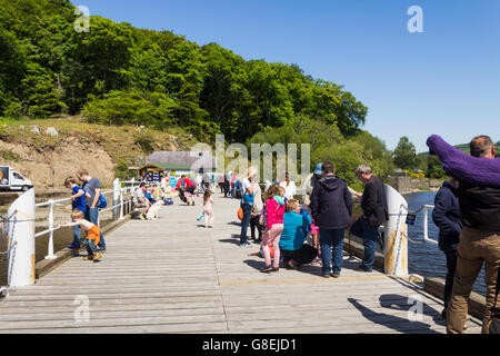 Passengers gather on Ullswater Steamers Pooley Bridge pier, Cumbria, ready for the 13:55 sailing to Glenridding. Ullswater Steam Stock Photo