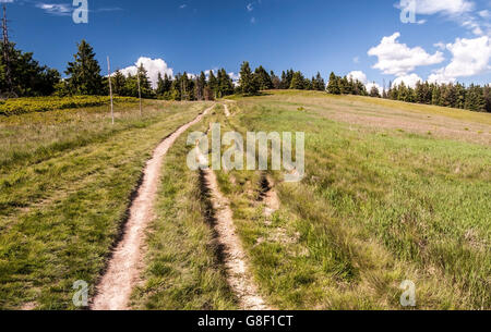 hiking trail on mountain meadow named Hala na Malej Raczy in Beskid Zywiecki mountains with blue sky and clouds Stock Photo