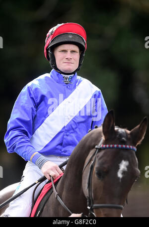 Horse Racing - Kempton Racecourse Stock Photo