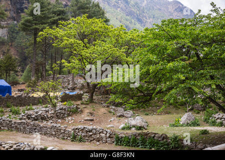 Himalayan village on the track to the Everest base camp. Stock Photo