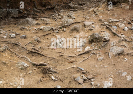 Himalayan village on the track to the Everest base camp. Stock Photo