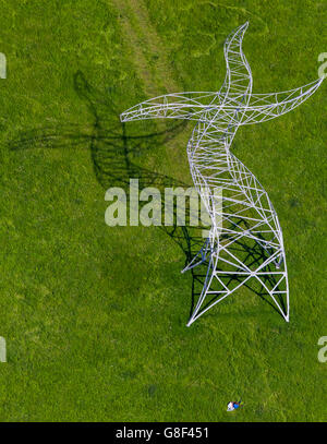 Aerial view, Berlin artist group Inge for EMSCHERKUNST.2013, power mast in the Ripshorster Emscher meadows, Stock Photo