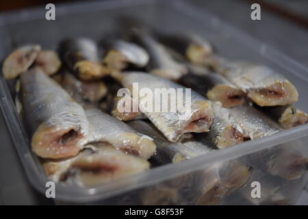 Close-up of Fresh Headless Sprats Stock Photo