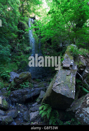 Mallyan Spout near Goathland, in the North Yorkshire Moors Stock Photo