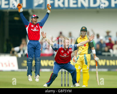 Cricket - The NatWest Challenge 2005 - England v Australia - Headingley Stock Photo