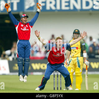 Cricket - The NatWest Challenge 2005 - England v Australia - Headingley Stock Photo