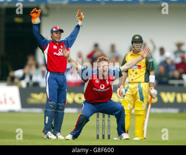 England's Paul Collingwood and Geraint Jones celebrate the wicket of Australia's Damien Martyn Stock Photo