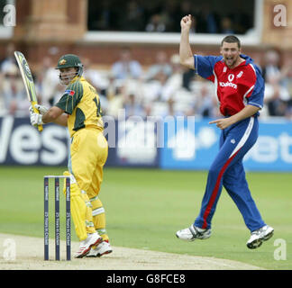 England's Steve Harmison celebrates taking the wicket of Australia's Ricky Ponting. Stock Photo