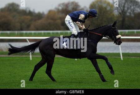 Horse Racing - Huntingdon Racecourse Stock Photo