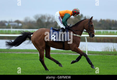 Horse Racing - Huntingdon Racecourse Stock Photo