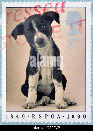 UNITED KINGDOM - CIRCA 1990: A stamp printed in England showing a dog, circa 1990 Stock Photo