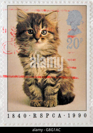 UNITED KINGDOM - CIRCA 1990: A  stamp printed in England showing a cat, circa 1990 Stock Photo