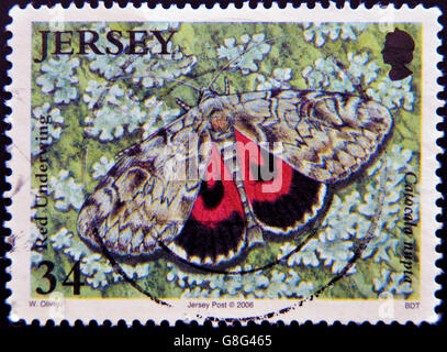 JERSEY - CIRCA 2006: A stamp printed in Jersey shows red underwing, catocala nupta, circa 2006 Stock Photo