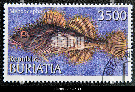 BURYATIA - CIRCA 1997: A stamp printed in Buryatia shows myoxocephalus, circa 1997 Stock Photo