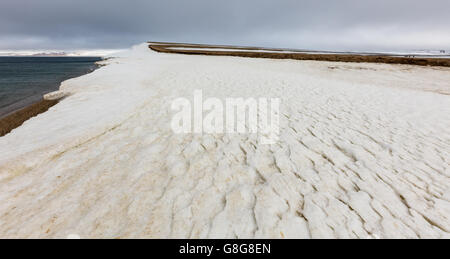 Wind blown ridges in snow, Torellneset, HInlopen Strait, Svalbard, Norway Stock Photo