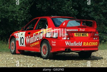 Rally art mitsubishi