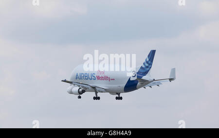Hamburg, Germany - June 27, 2016: Beluga Transport Plane Number 3 landing at the Airbus Plant in Hamburg Finkenwerder Stock Photo