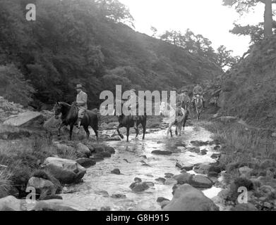 King George V - Bolton Abbey, Yorkshire Stock Photo