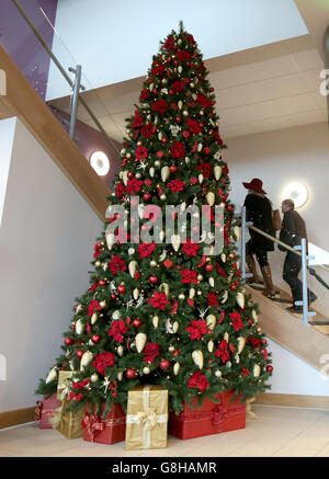 A Christmas tree in the Princess Royal Stand during day two of The International at Cheltenham Racecourse. Stock Photo
