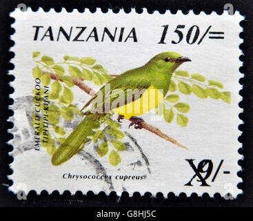 TANZANIA - CIRCA 1990: A stamp printed in Tanzania shows the emerald cuckoo bird (Chrysococcyx cupreus), circa 1990 Stock Photo