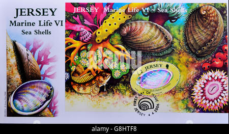 JERSEY - CIRCA 2006: A stamp printed in Jersey shows sea shells, marine life serie, first day of issue, circa 2006 Stock Photo