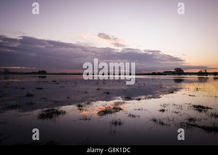 The sun rises behind clouds over flood water near Langport, looking South East towards Muchelney, Somerset, where the Levels are covered in water after heavy rain, with more forecast over parts of the UK. Stock Photo