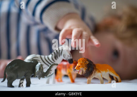 A preschool age child plays with plastic toy animals. Stock Photo